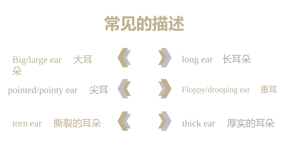 描写耳朵的词语_第3页