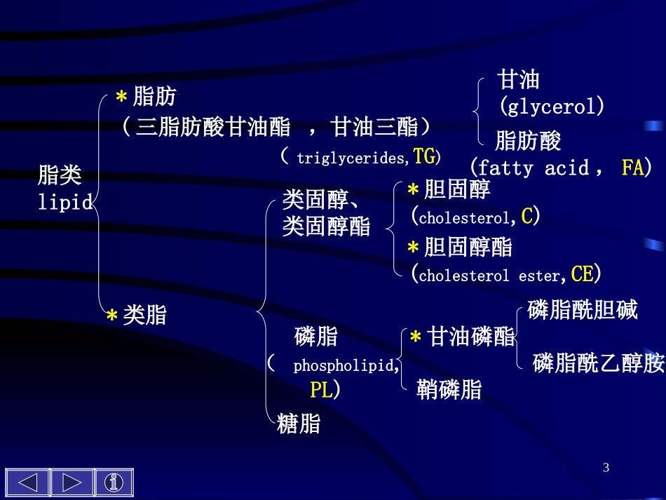 第七章   脂类代谢_第3页