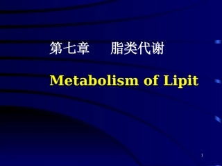 第七章   脂类代谢