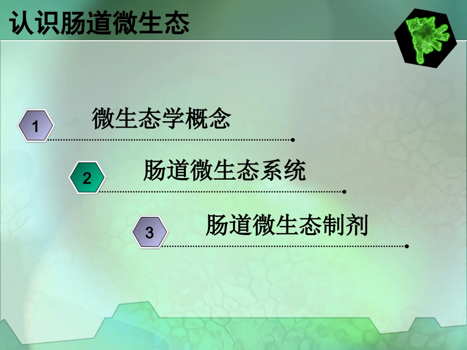 认识肠道微生态_第2页