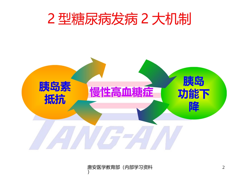 糖尿病自然病程-3_第2页