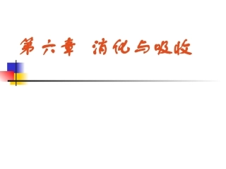 消化与吸收ppt