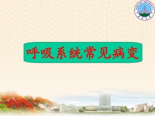 呼吸系统1(影像)