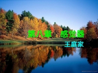第八章感觉器