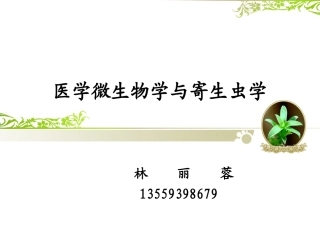 绪论--细菌的基本形状