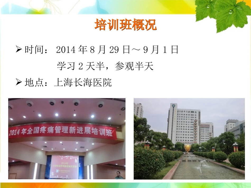 疼痛护理学习班汇报课件_第2页