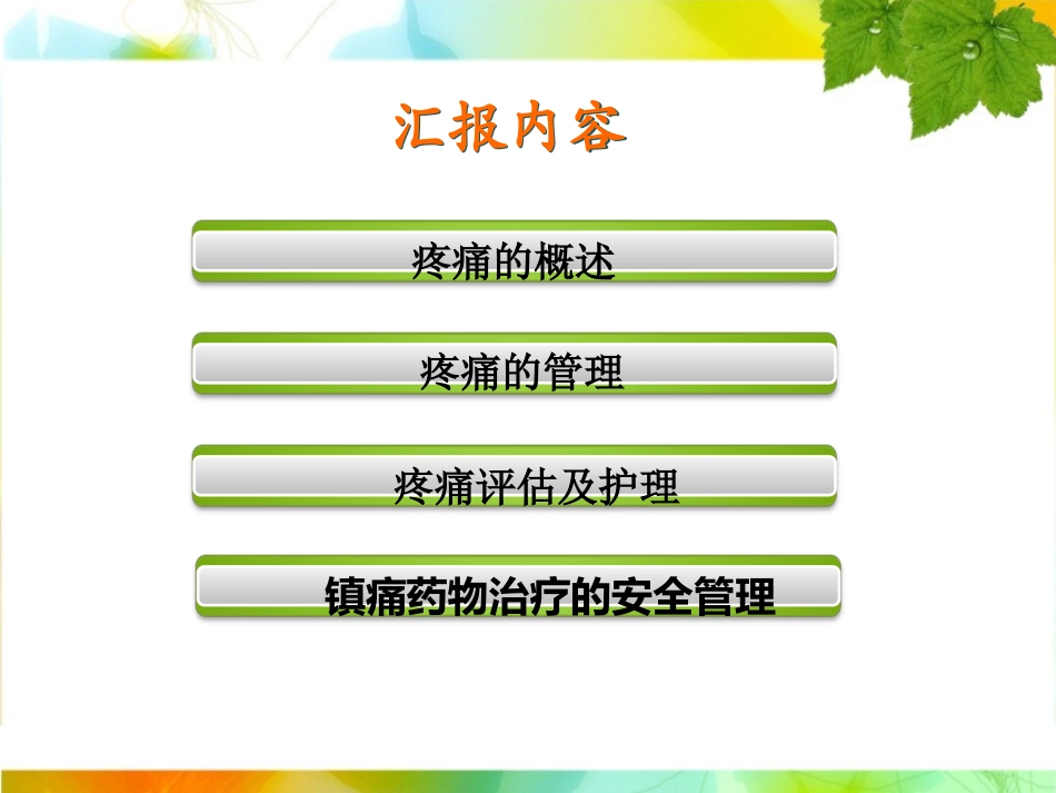 疼痛护理学习班汇报课件_第3页