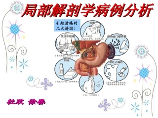 局解病例分析0