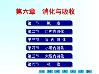 消化系统(生理ppt)