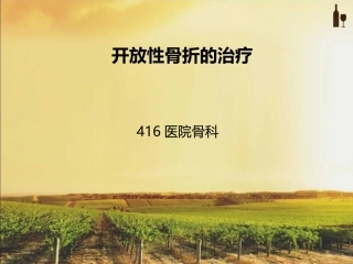 开放性骨折的处理