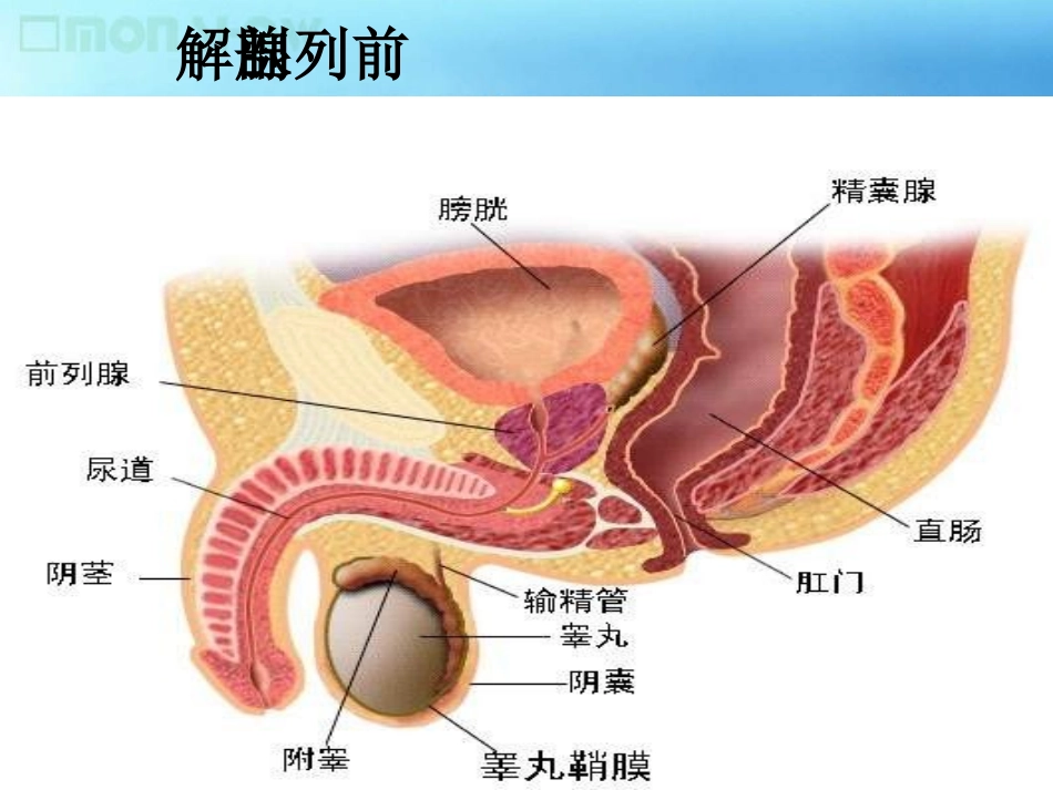 前列腺增生的诊治进展_第3页