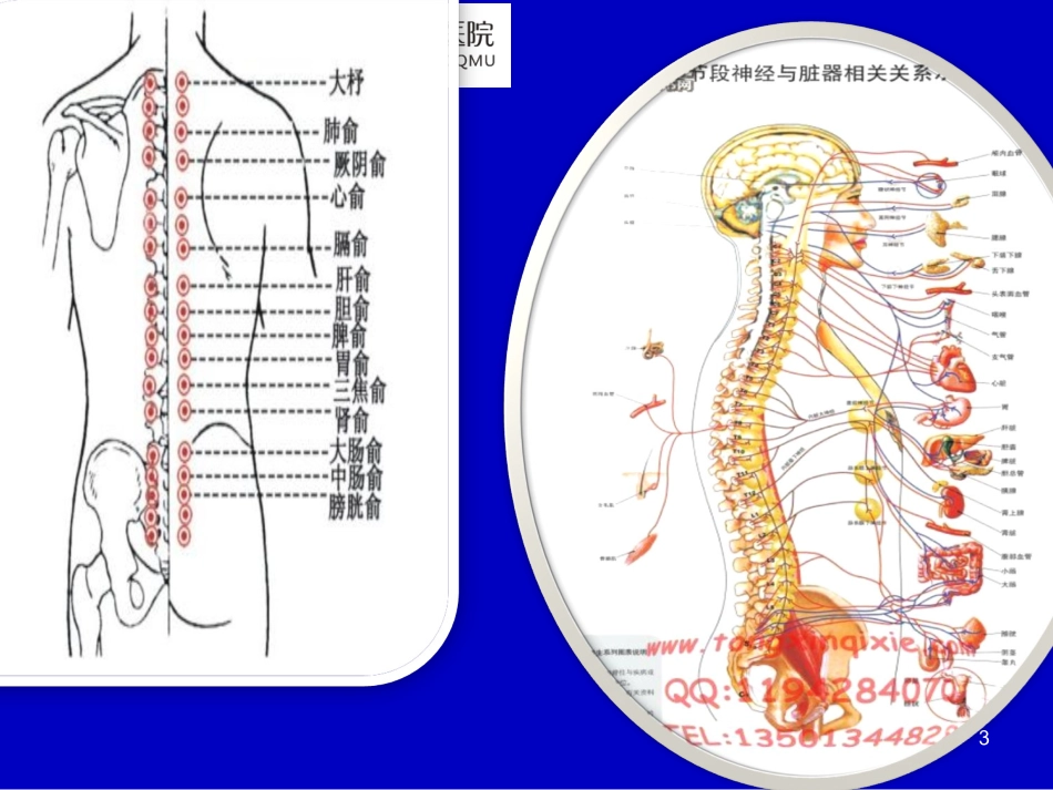 脊柱整脊方法1_第3页