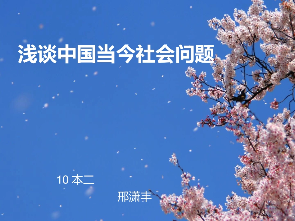 当今中国十大社会问题_第1页