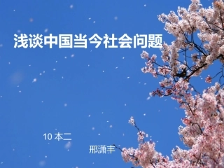 当今中国十大社会问题