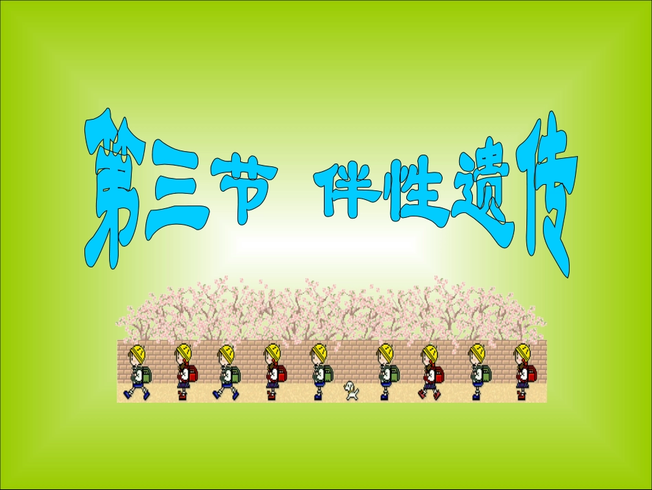 第三节__北师大版__伴性遗传--上课ppt_第1页