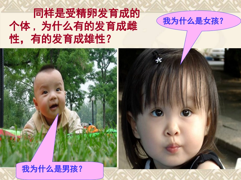 第三节__北师大版__伴性遗传--上课ppt_第2页