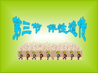 第三节__北师大版__伴性遗传--上课ppt