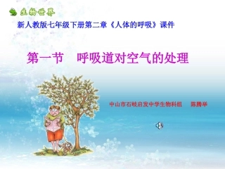 呼吸道对空气的处理2