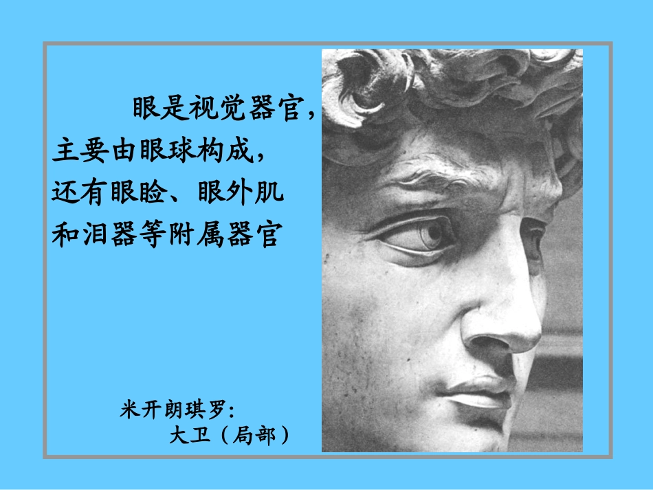 高级组织学 眼的组织学2011_第2页