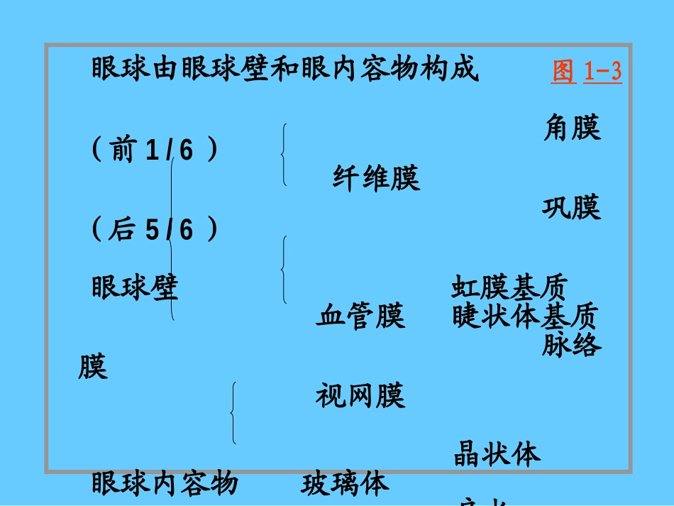 高级组织学 眼的组织学2011_第3页