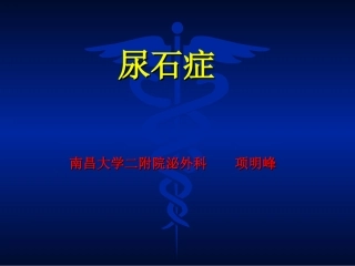 泌尿系尿石症-项明峰