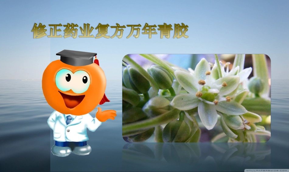 修正药业复方万年青科室_第1页