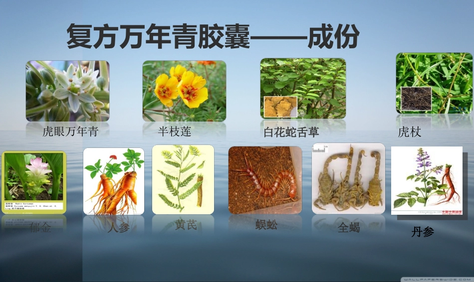 修正药业复方万年青科室_第3页