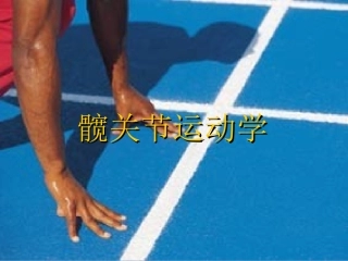 髋关节运动学