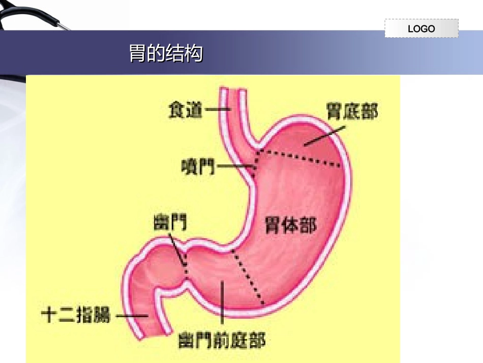 从胃的损伤和保护谈胃溃疡形成_第3页