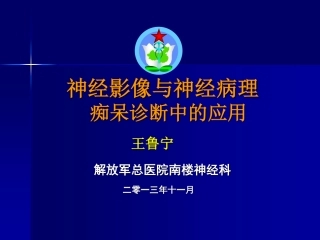 变性性痴呆-王鲁宁