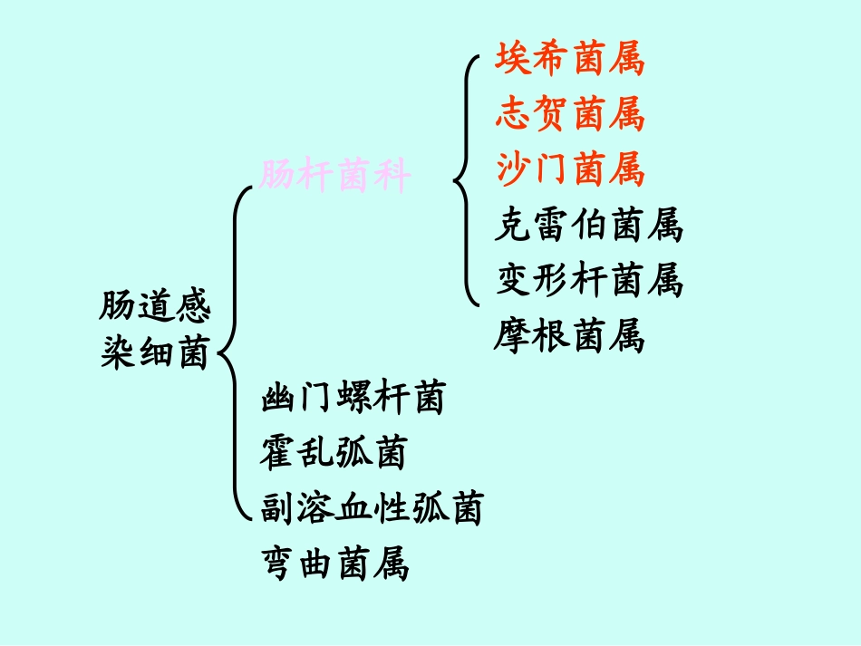 最新第十五章肠道感染细菌-PPT文档_第2页
