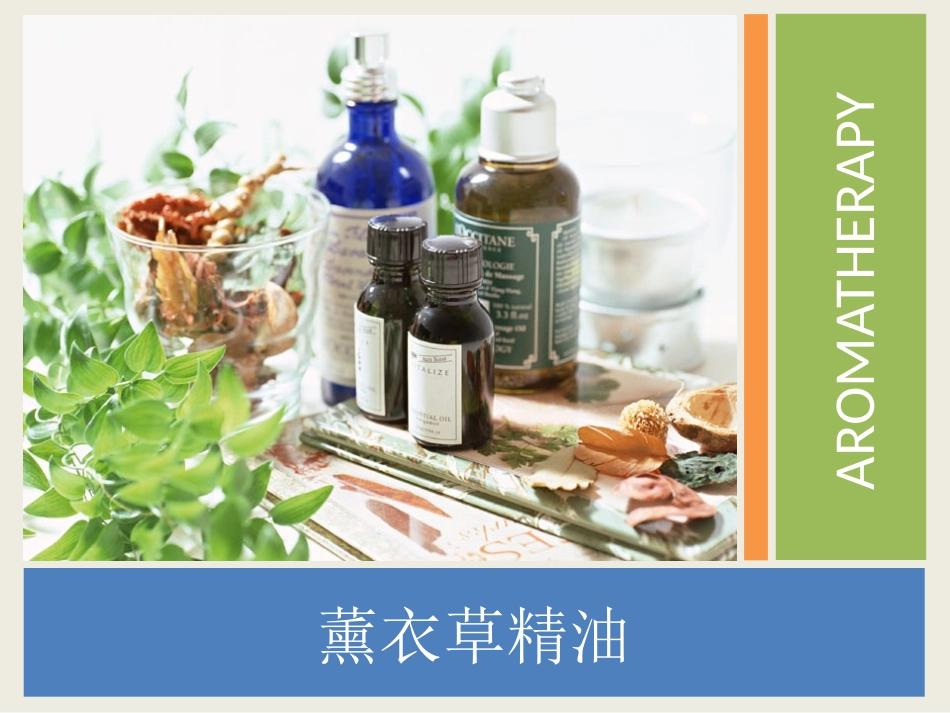 精油基础知识_第1页