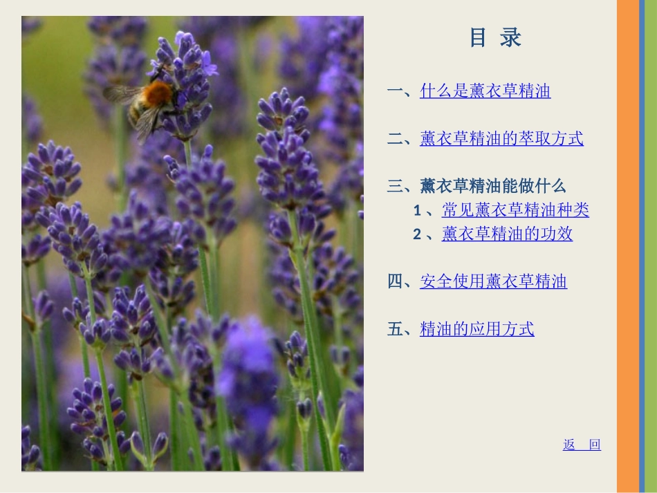 精油基础知识_第2页