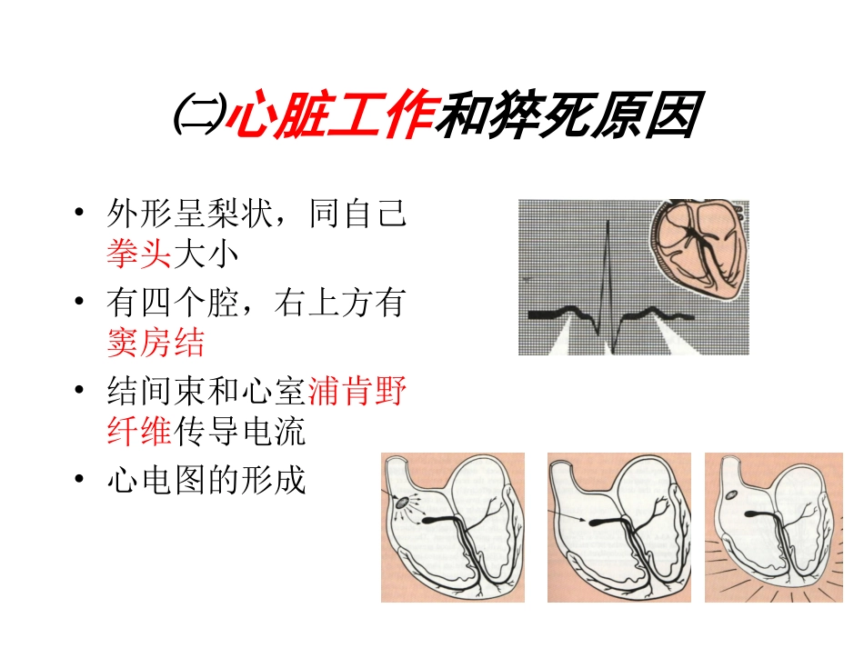 急救初级救生术_第3页