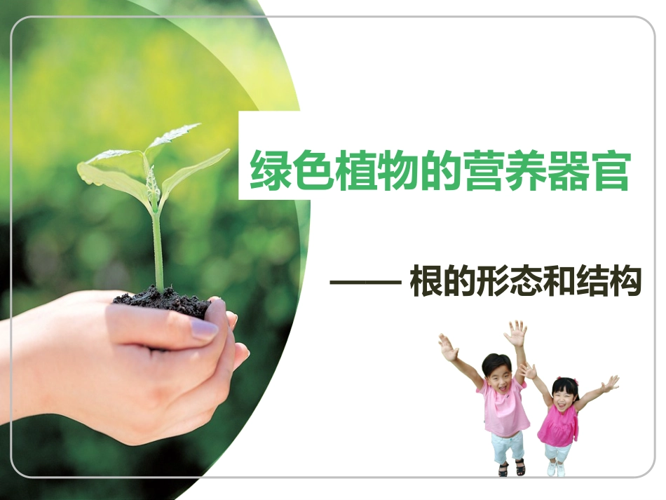 绿色植物的营养器官_第1页