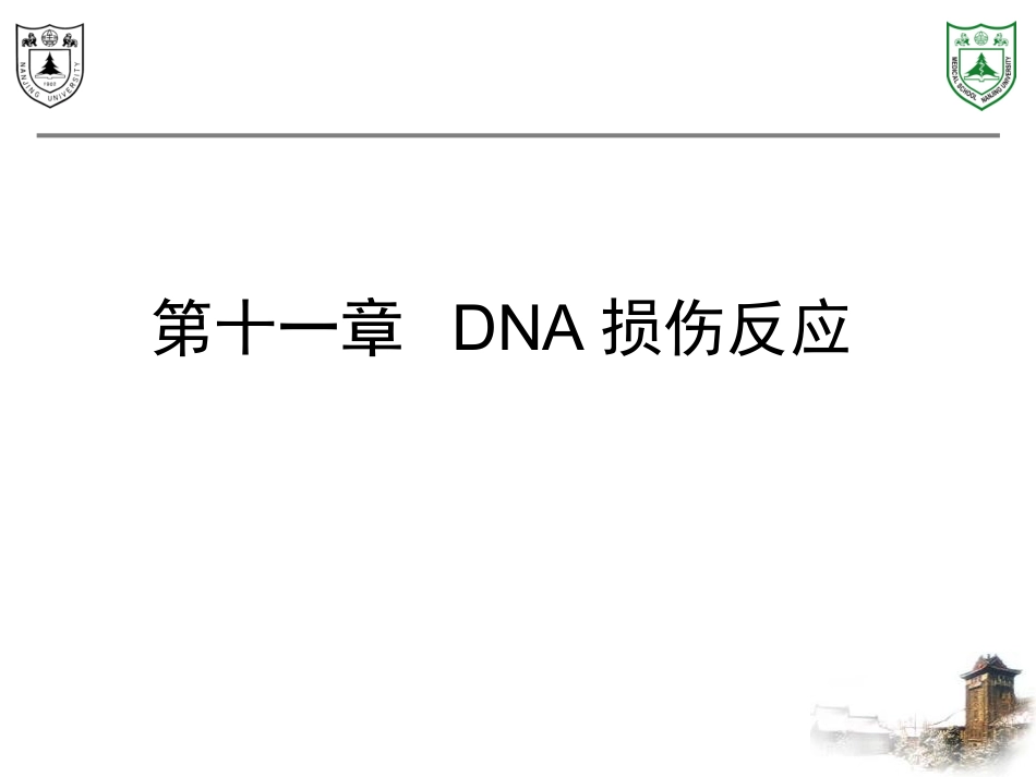 第4章：DNA损伤反应_第1页