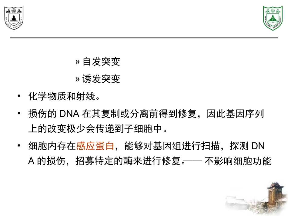 第4章：DNA损伤反应_第2页