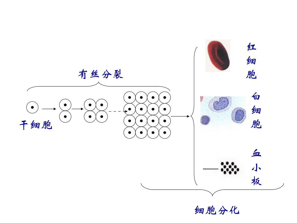 20071121201922843_第3页