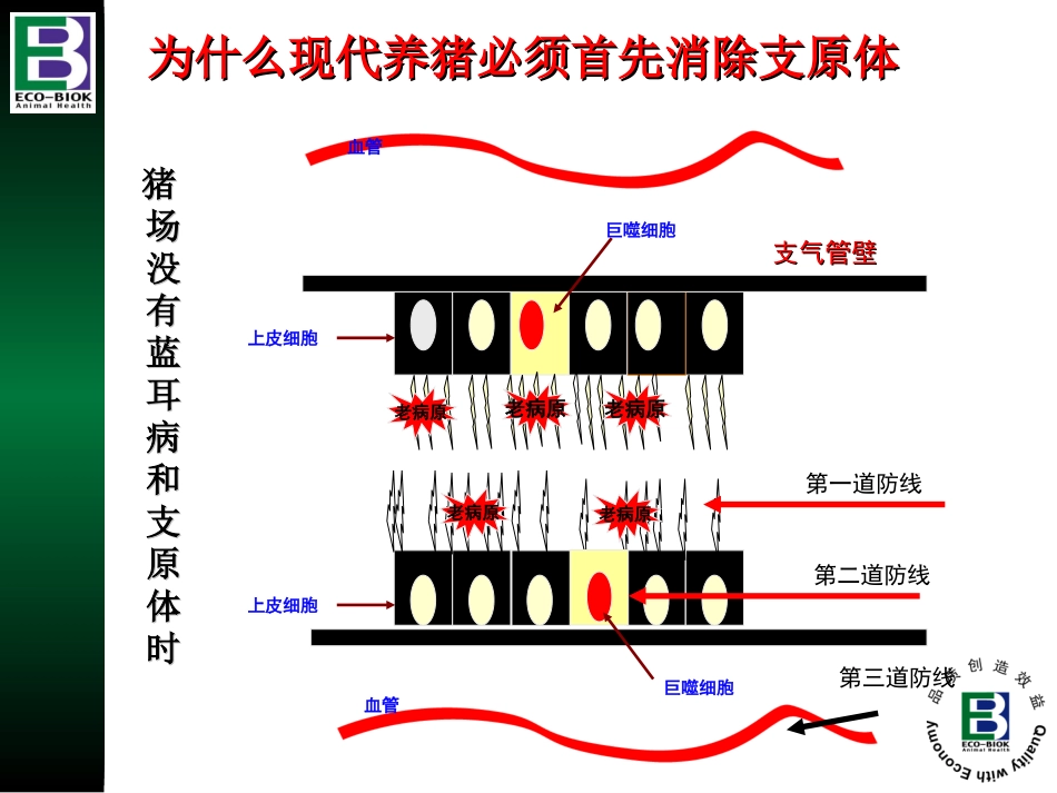 爱乐新产品介绍(Aivlosin premix(latest)_第3页