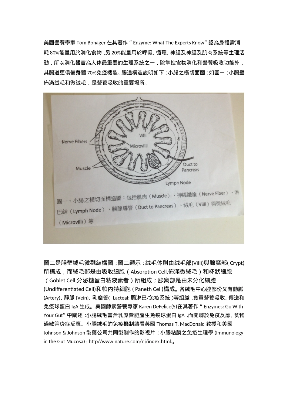 qqq欧美胃液优化疗法.draft 05.10.02.13_第2页