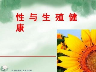 性与生殖健康