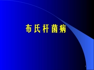 布氏杆菌病讲座