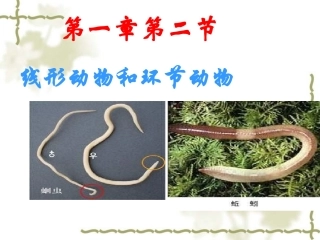 人教版八年级生物线形动物和环节动物