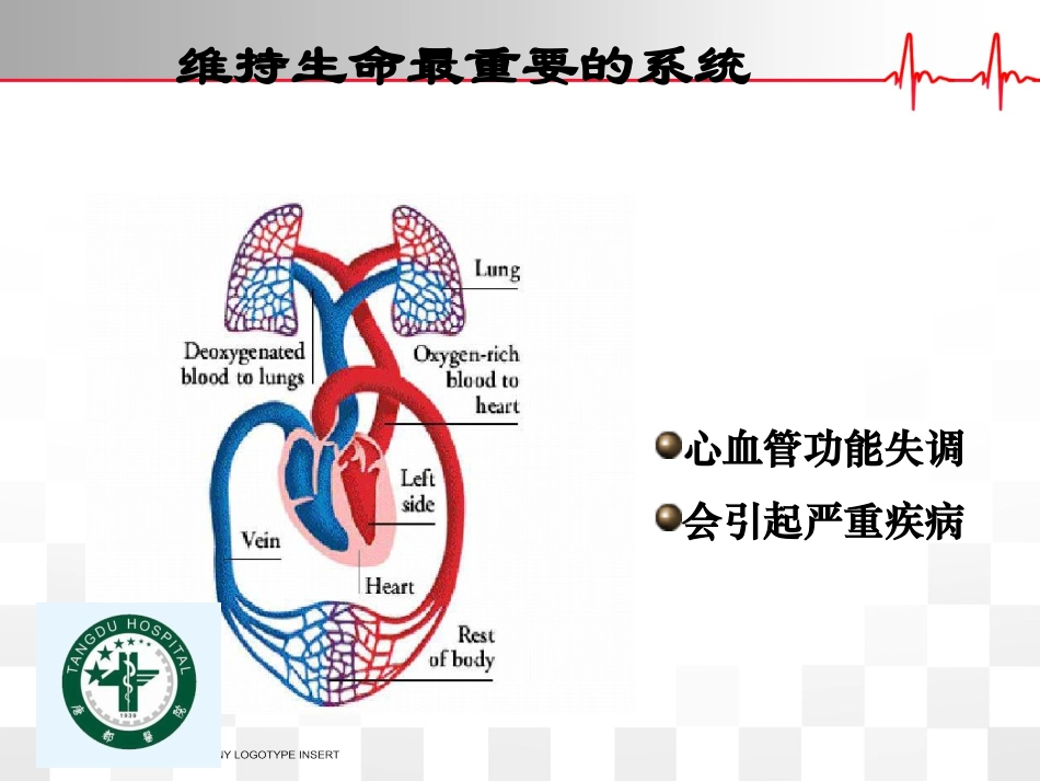 循环系统合理用药杨蒙蒙_第3页