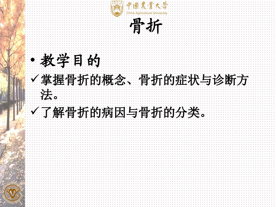 十四章四肢疾病_第2页