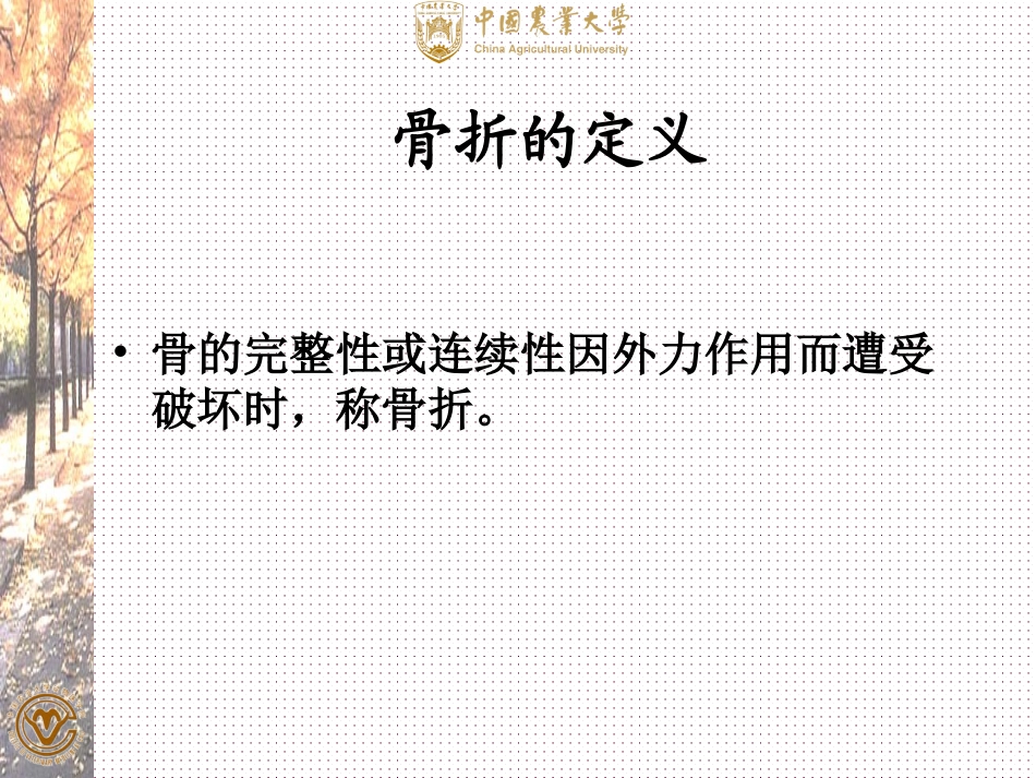 十四章四肢疾病_第3页