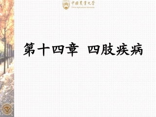 十四章四肢疾病