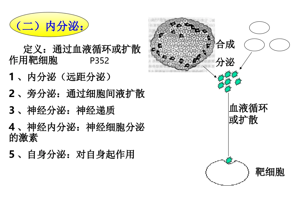 第十章 内分泌_第3页