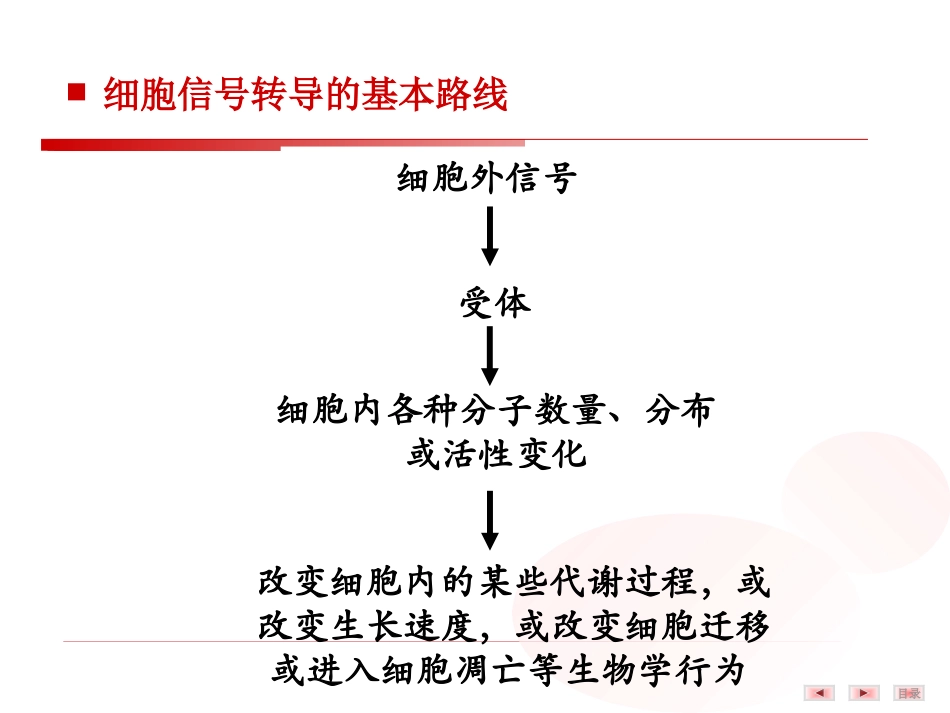 细胞信号转导的分子机制_第3页