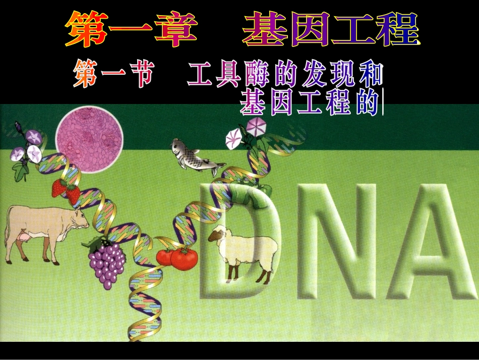 人和动物体内三大营养物质的代谢_第1页
